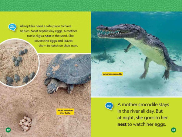 National Geographic Readers: Reptiles (L1/Coreader)