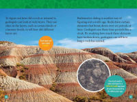 Alternative view 3 of Bling! (National Geographic Kids Readers, Level 3): 100 FUN Facts About Rocks and Gems