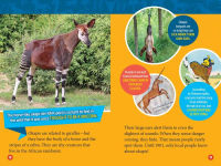 Alternative view 4 of Mythical Beasts (National Geographic Kids Readers, Level 3): 100 Fun Facts About Real Animals and the Myths They Inspire