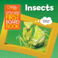 Title: Little Kids First Board Book: Insects, Author: Ruth A. Musgrave