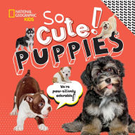 Title: So Cute! Puppies, Author: Crispin Boyer