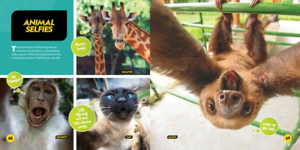 National Geographic Readers: Adorable Animals (Level 2) by Mary Quattlebaum  - National Geographic, National Geographic Kids Books