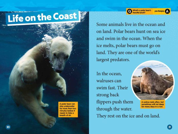 National Geographic Readers: Arctic Animals (L2)