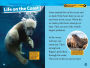Alternative view 4 of National Geographic Readers: Arctic Animals (L2)