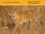 Alternative view 4 of National Geographic Readers: Stripes and Spots (Pre-Reader)