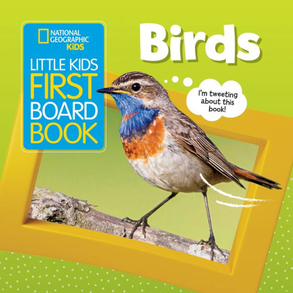 Little Kids First Board Book: Birds