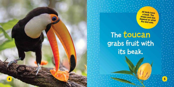 National Geographic Kids Little Kids First Board Book: Birds