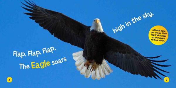 National Geographic Kids Little Kids First Board Book: Birds