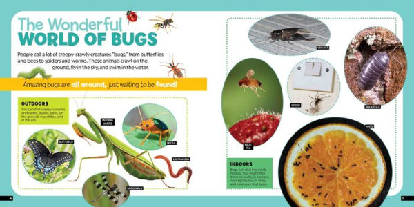 Little Kids First Nature Guide Bugs