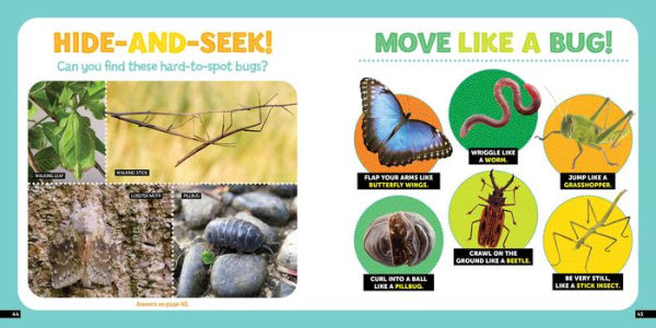 Little Kids First Nature Guide Bugs