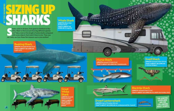 Can't Get Enough Shark Stuff: Fun Facts, Awesome Info, Cool Games, Silly Jokes, and More!