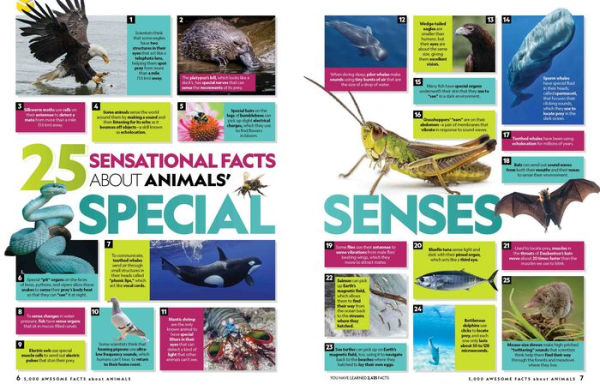 5,000 Awesome Facts About Animals