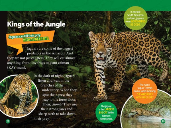 Amazon Animals (National Geographic Kids Readers, Level 3): 100 FUN Facts About Snakes, Sloths, Spiders, and More