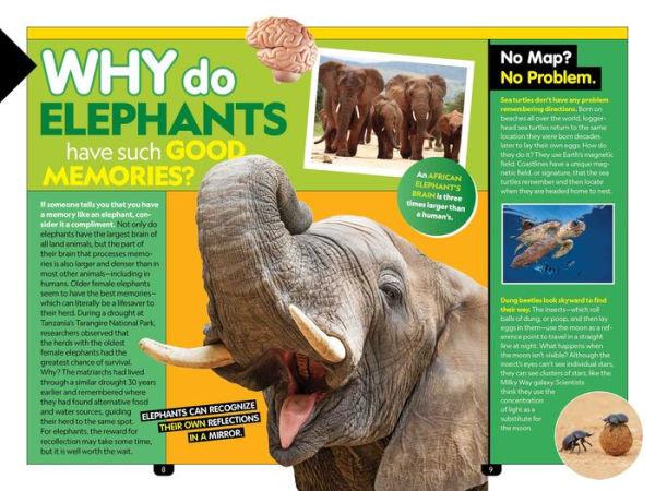 Why? Animals: 99+ Awesome Answers for Curious Kids