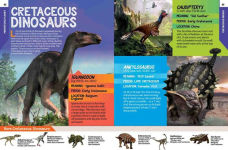 Alternative view 4 of National Geographic Kids Dinosaur Atlas