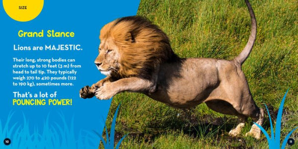 Go Wild! Lions