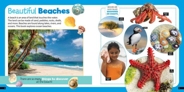 Little Kids First Nature Guide: Explore the Beach