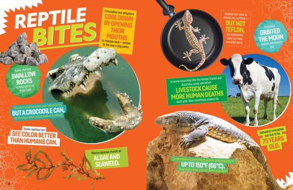 The Ultimate Book of Reptiles: Your guide to the secret lives of these scaly, slithery, and spectacular creatures!