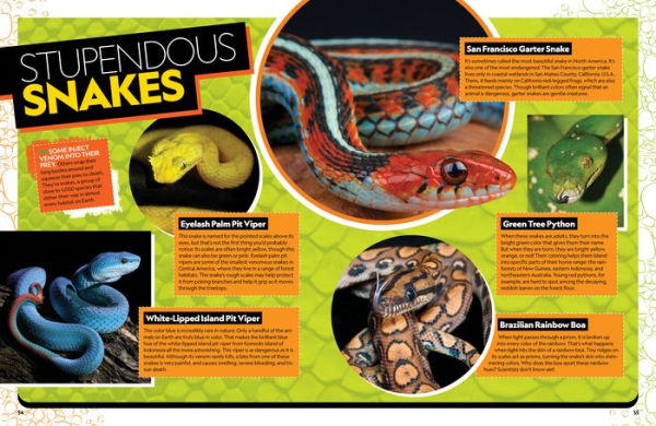 The Ultimate Book of Reptiles: Your guide to the secret lives of these scaly, slithery, and spectacular creatures!