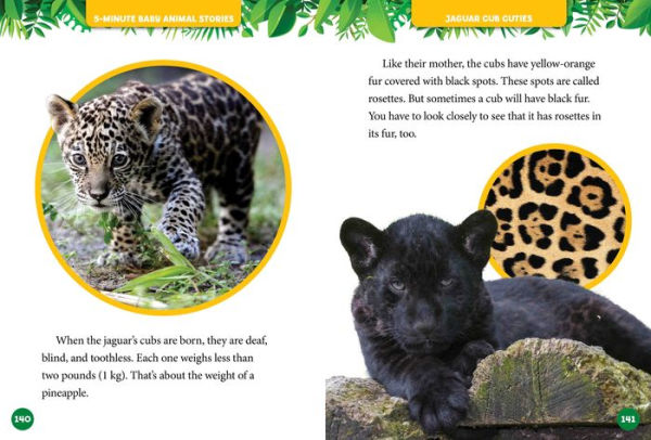 National Geographic Kids 5-Minute Baby Animal Stories