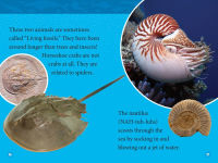 Alternative view 4 of Prehistoric Sea Monsters (National Geographic Kids Readers, Level 2)
