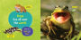 Alternative view 2 of Little Kids First Board Book: Frogs
