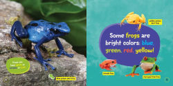 Alternative view 3 of Little Kids First Board Book: Frogs