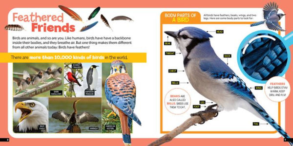 Little Kids First Nature Guide Birds