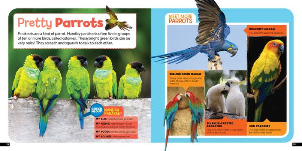 Little Kids First Nature Guide Birds