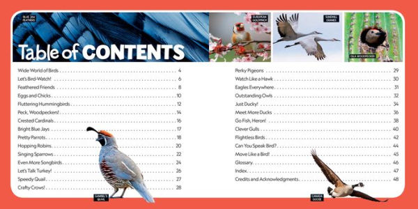 Little Kids First Nature Guide Birds