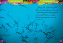 Alternative view 2 of National Geographic Kids 5-Minute Shark Stories