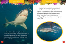 Alternative view 3 of National Geographic Kids 5-Minute Shark Stories