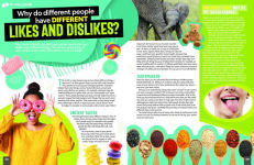 Alternative view 6 of Yes! No? Maybe So...: Amazing Answers to More Than 250 Mind-Blowing Questions
