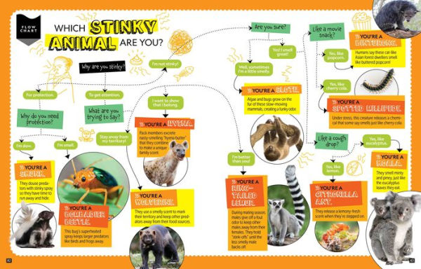 National Geographic Kids Personality Quizzes