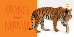 Alternative view 3 of National Geographic Photo Ark Colors / Colores: Board Book: Bilingual English-Spanish