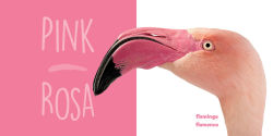 Alternative view 5 of National Geographic Photo Ark Colors / Colores: Board Book: Bilingual English-Spanish