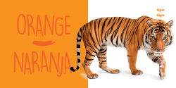 Alternative view 6 of National Geographic Photo Ark Colors / Colores: Board Book: Bilingual English-Spanish