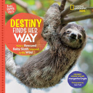 Title: Destiny Finds Her Way: How a Rescued Baby Sloth Learned to Be Wild, Author: Margarita Engle