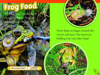 Alternative view 2 of Animal All-Stars Collection (National Geographic Kids Readers, Level 1)