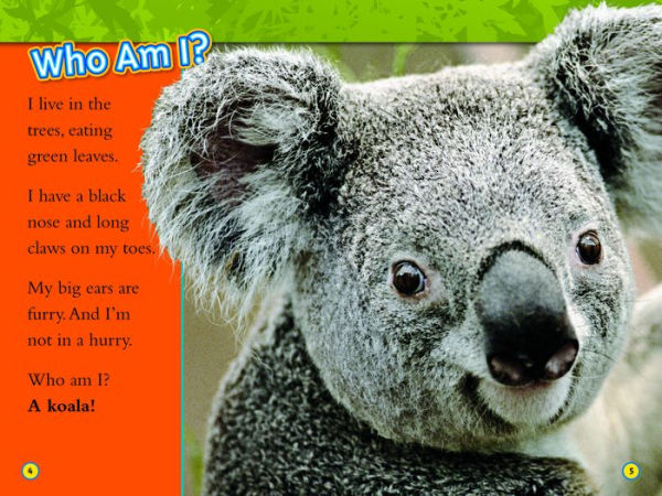Animal All-Stars Collection (National Geographic Kids Readers, Level 1)