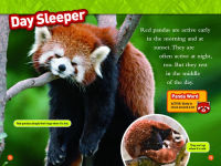 Alternative view 6 of Animal All-Stars Collection (National Geographic Kids Readers, Level 1)