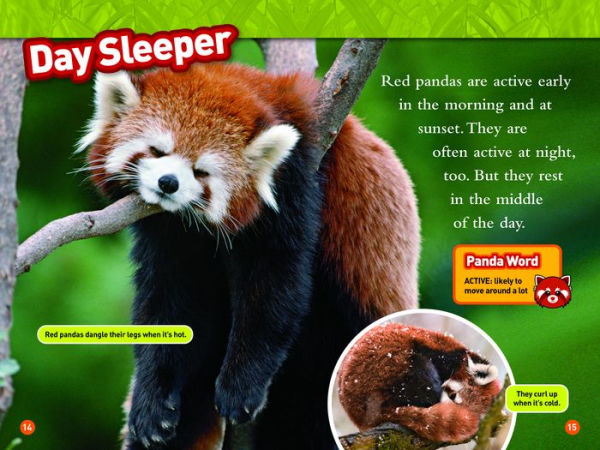 Animal All-Stars Collection (National Geographic Kids Readers, Level 1)