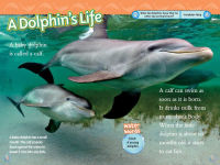 Alternative view 2 of Superstars of the Sea Collection (National Geographic Kids Readers, Level 2)