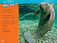 Alternative view 3 of Superstars of the Sea Collection (National Geographic Kids Readers, Level 2)