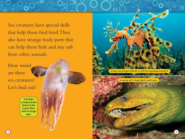 Superstars of the Sea Collection (National Geographic Kids Readers, Level 2)