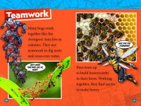 Alternative view 4 of Marvel's Spider-Man Bugs Out! (National Geographic Kids Readers, Level 1)