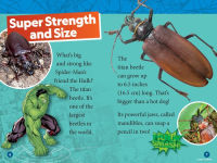 Alternative view 5 of Marvel's Spider-Man Bugs Out! (National Geographic Kids Readers, Level 1)