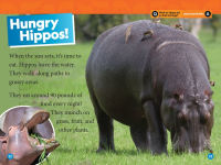 Alternative view 4 of Hippos (National Geographic Kids Readers, Level 1)
