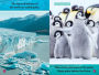 Alternative view 5 of Polar Babies (National Geographic Kids Explore! Readers, Pre-Reader)