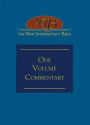 The New Interpreter's Bible One-Volume Commentary